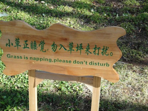 hornoxe.com_picdump214_045