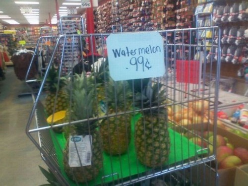 hornoxe.com_picdump214_049