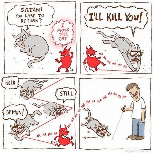 hornoxe.com_picdump214_069