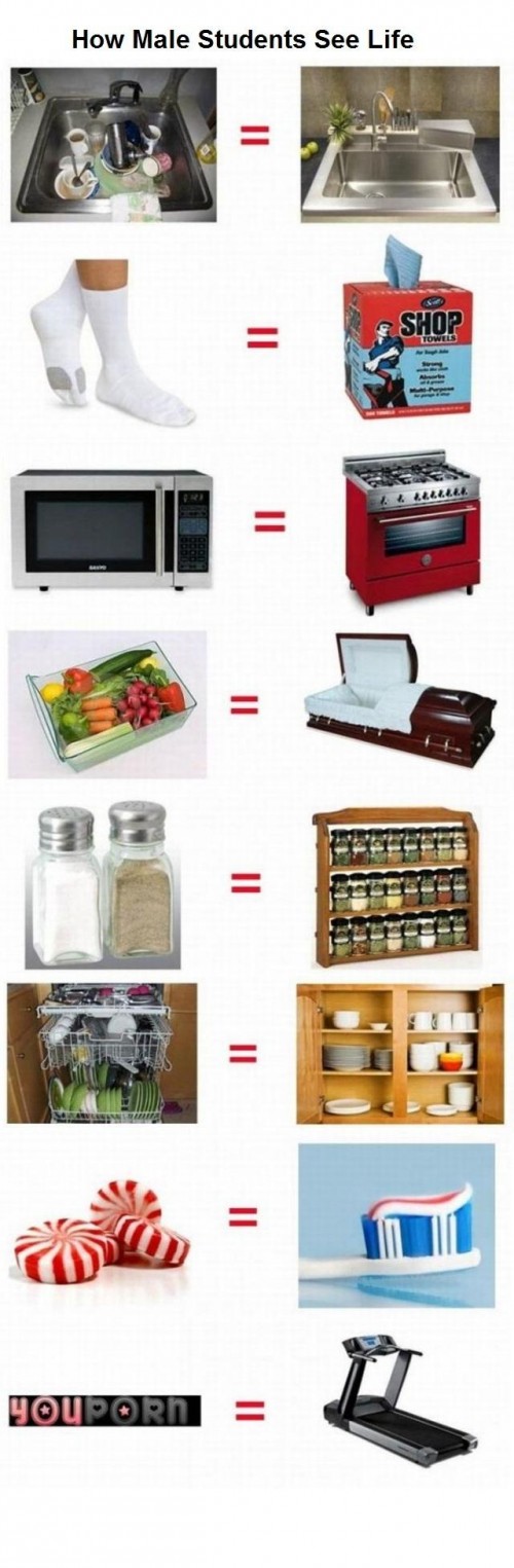 hornoxe.com_picdump216_020