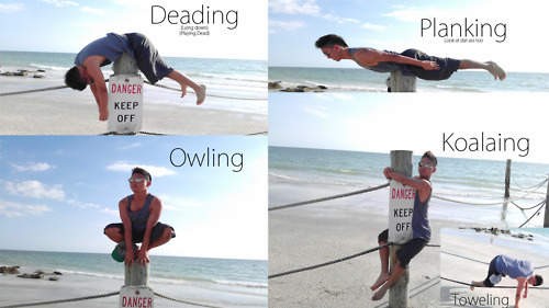 hornoxe.com_picdump216_048