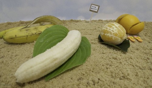 hornoxe.com_picdump216_071