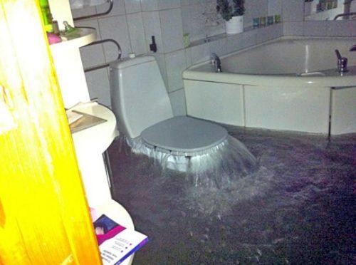 hornoxe.com_picdump218_008