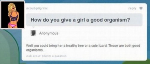 hornoxe.com_picdump218_011