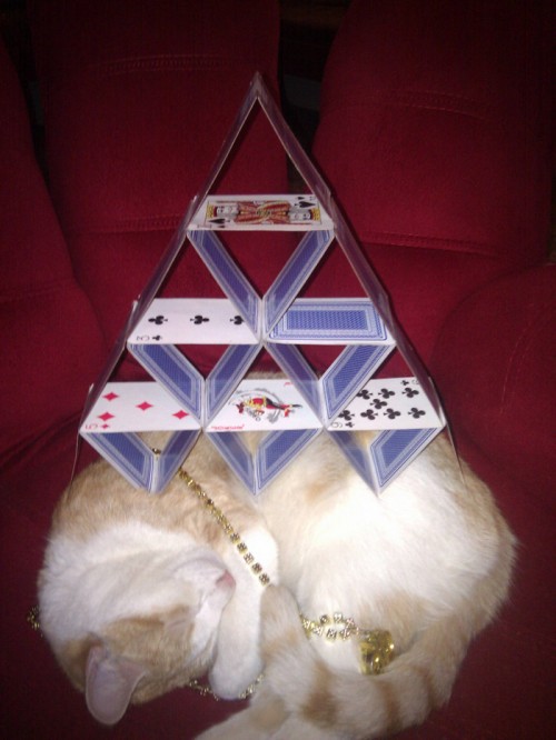 hornoxe.com_picdump218_026