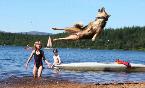 hornoxe.com_picdump218_038