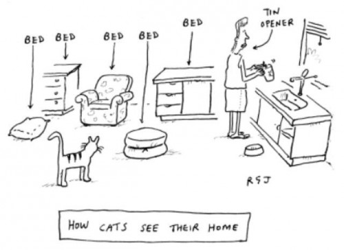 hornoxe.com_picdump218_046