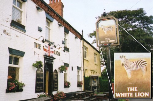 hornoxe.com_picdump218_054