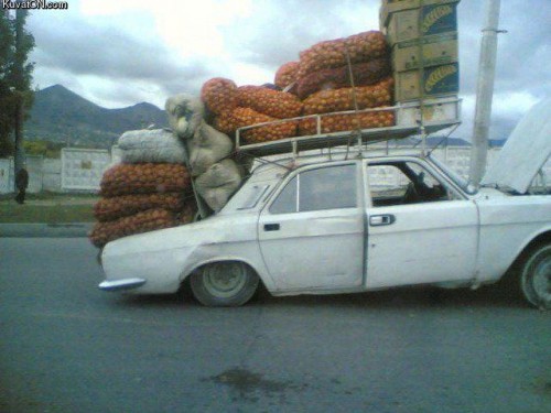 hornoxe.com_picdump218_058