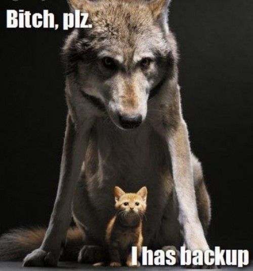 hornoxe.com_picdump218_081