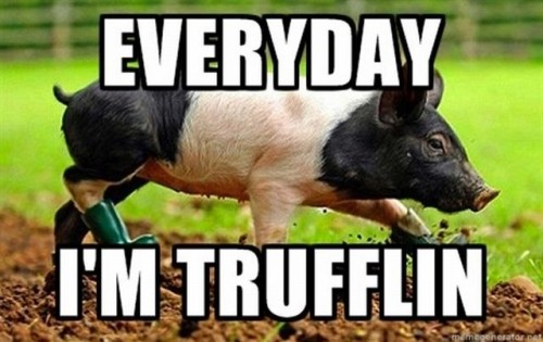 hornoxe.com_picdump218_097