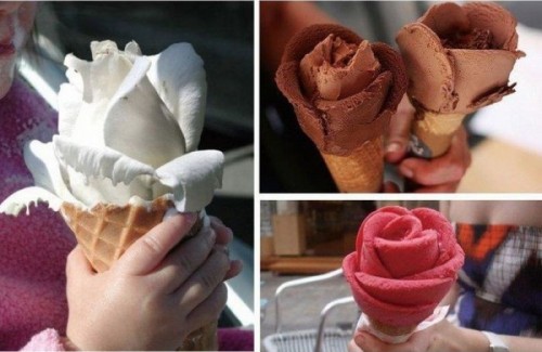 hornoxe.com_picdump218_134