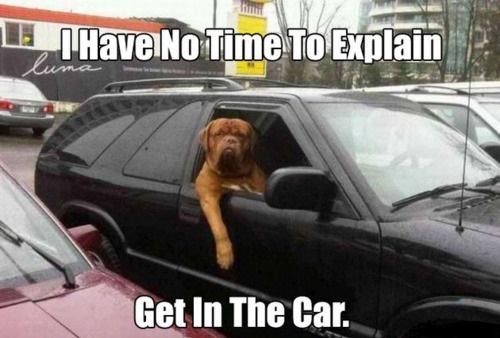 hornoxe.com_picdump219_012