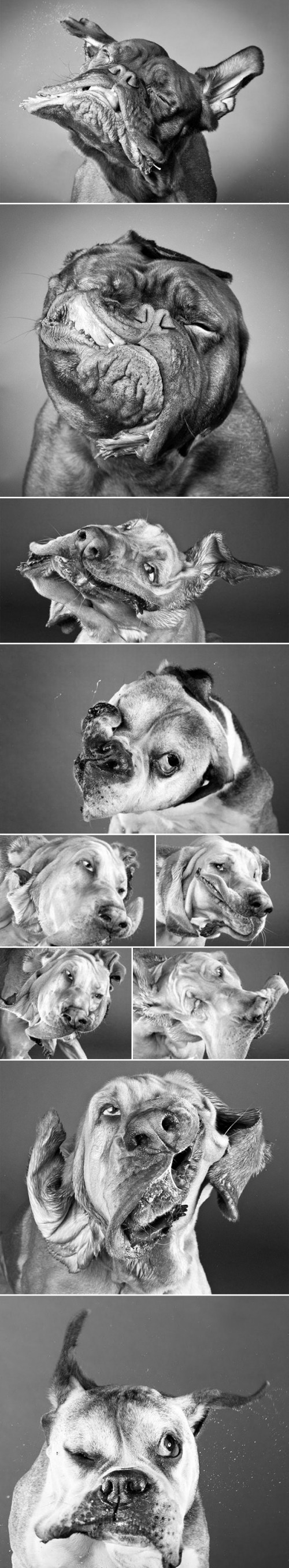 hornoxe.com_picdump219_028