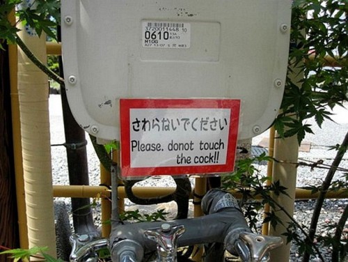 hornoxe.com_picdump219_041