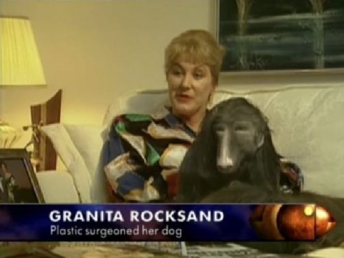 hornoxe.com_picdump219_049