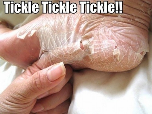 hornoxe.com_picdump219_051