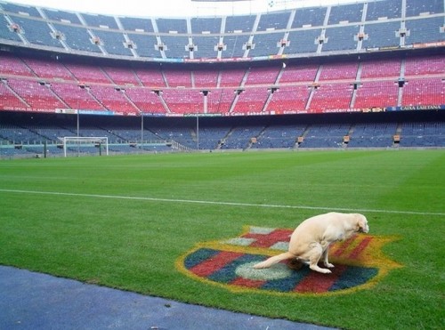 hornoxe.com_picdump219_073