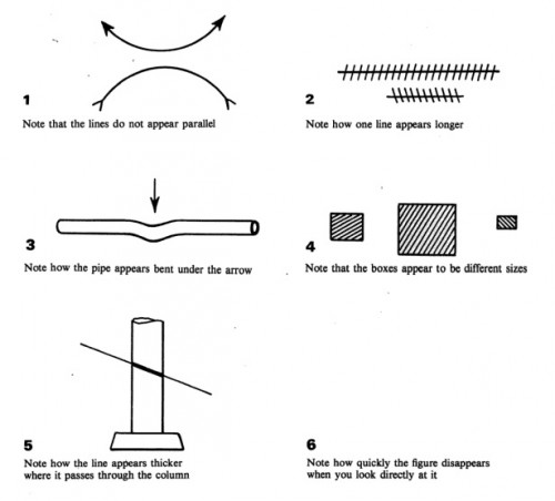 hornoxe.com_picdump220_025