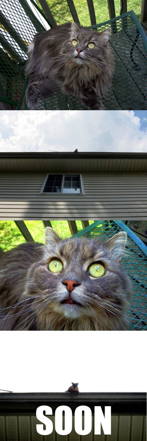 hornoxe.com_picdump220_067