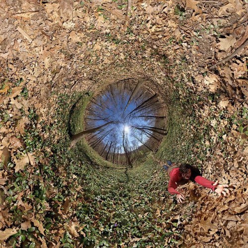 hornoxe.com_picdump220_072