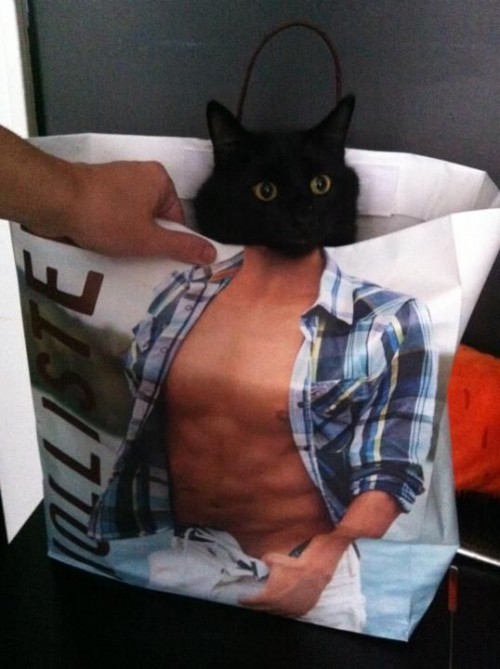 hornoxe.com_picdump220_073