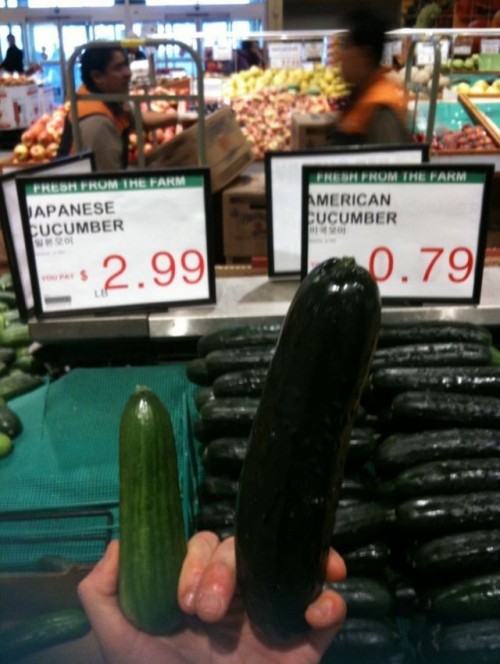 hornoxe.com_picdump220_079