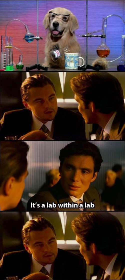 hornoxe.com_picdump220_093