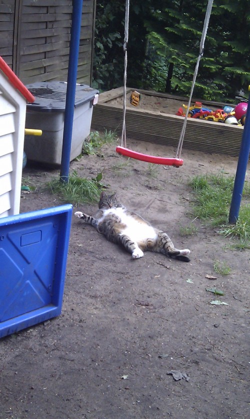 hornoxe.com_picdump220_110