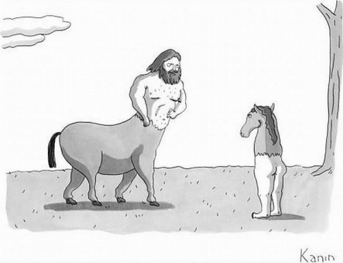 hornoxe.com_picdump221_029