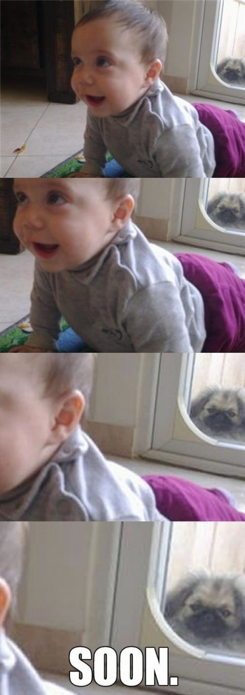 hornoxe.com_picdump221_052