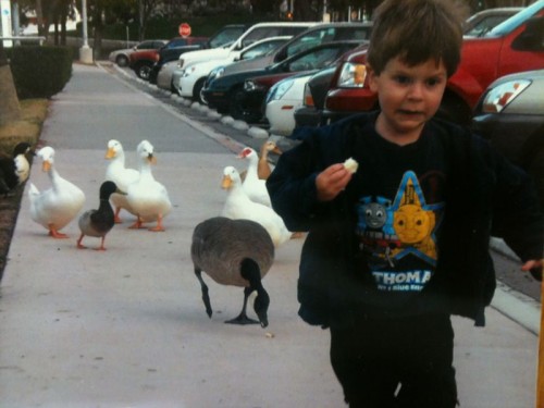 hornoxe.com_picdump221_094