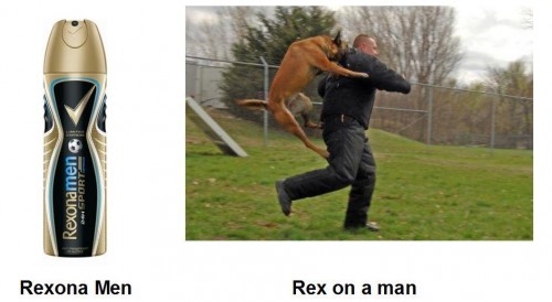 hornoxe.com_picdump221_101