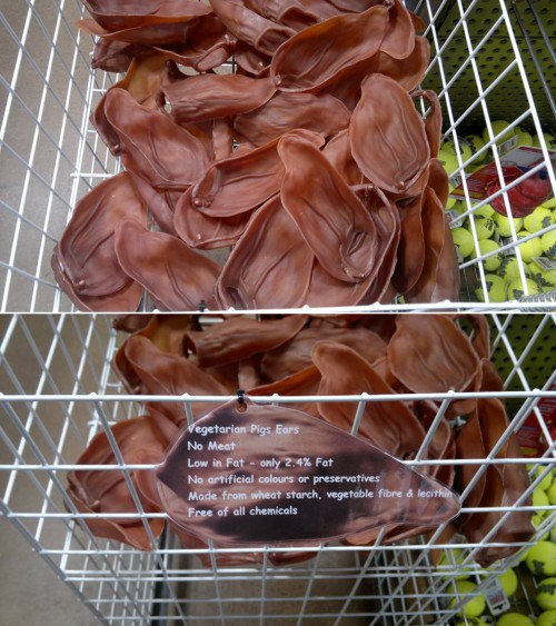 hornoxe.com_picdump222_006