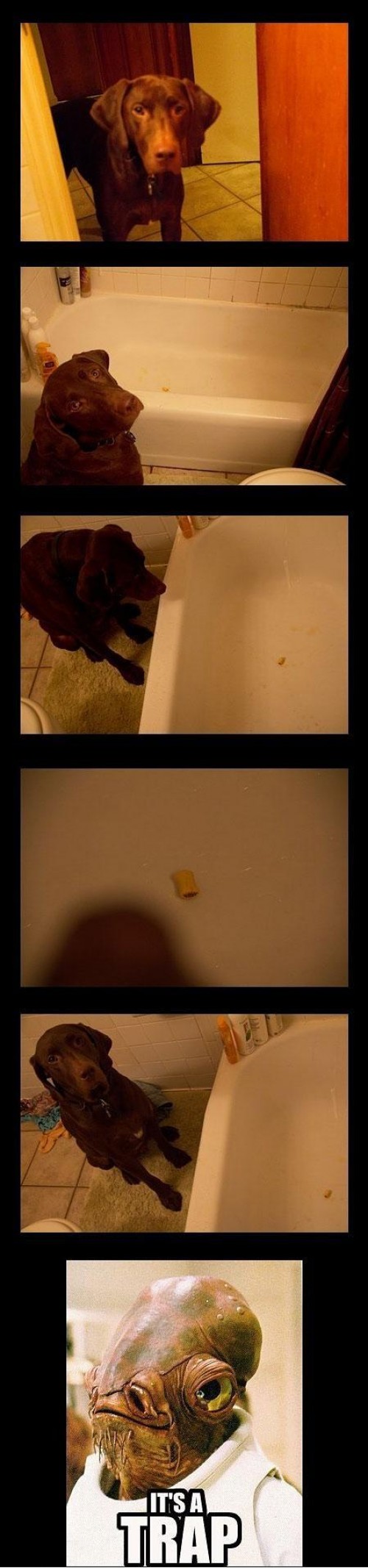 hornoxe.com_picdump222_014