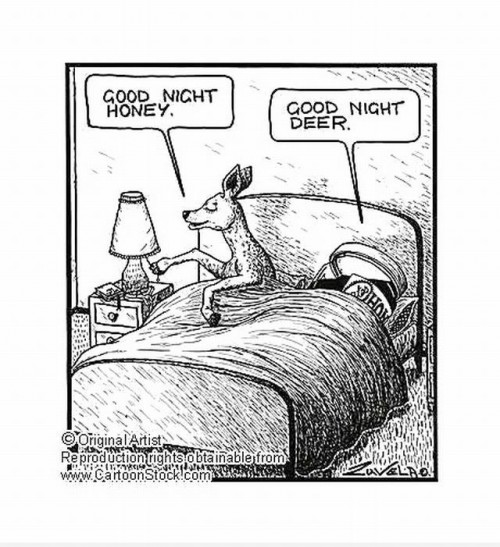 hornoxe.com_picdump222_052