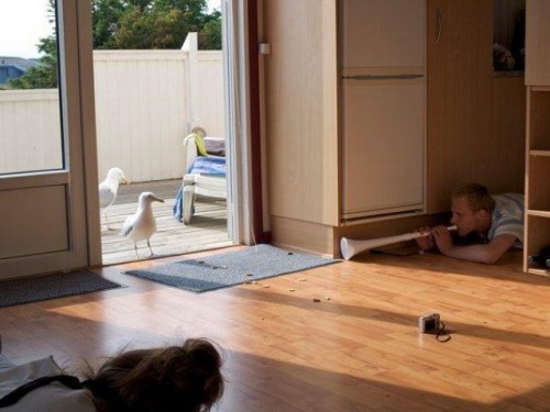 hornoxe.com_picdump222_097