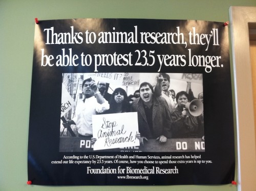 hornoxe.com_picdump222_103