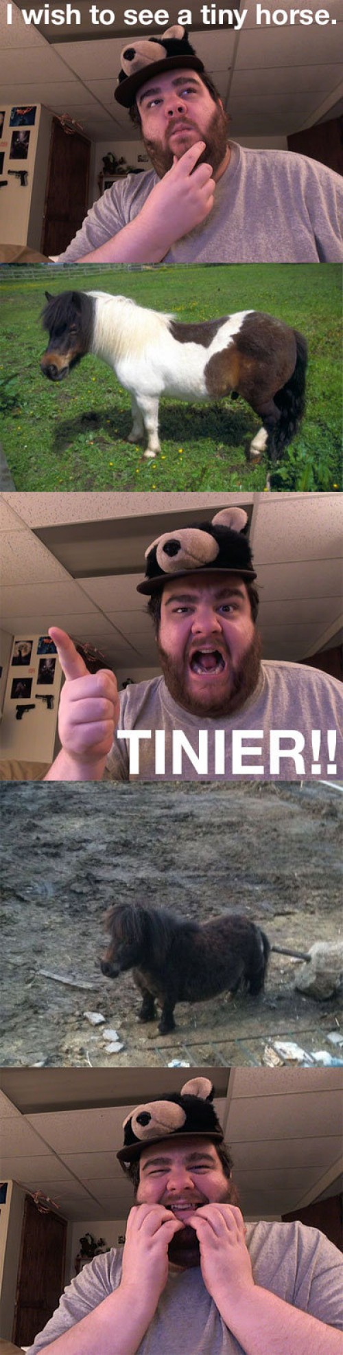 hornoxe.com_picdump223_001