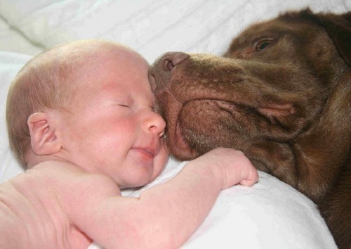 hornoxe.com_picdump223_056