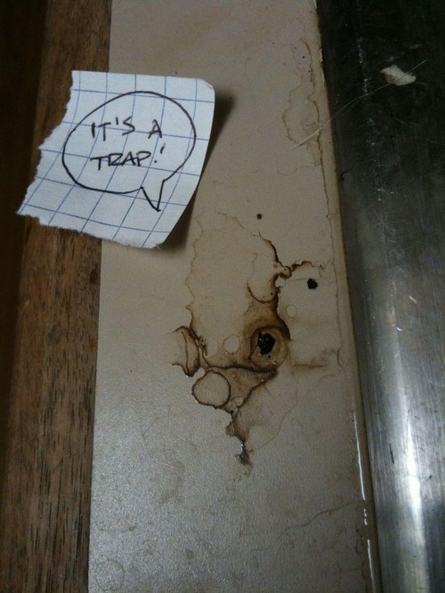 hornoxe.com_picdump223_138