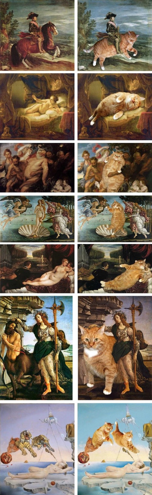 hornoxe.com_picdump223_141