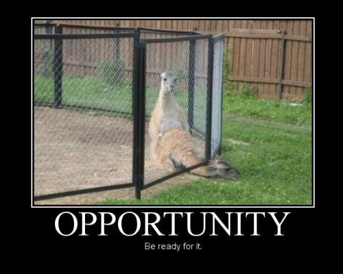 hornoxe.com_picdump223_179