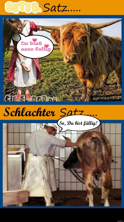 hornoxe.com_picdump224_004