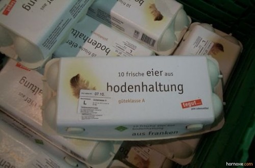 hornoxe.com_picdump224_015