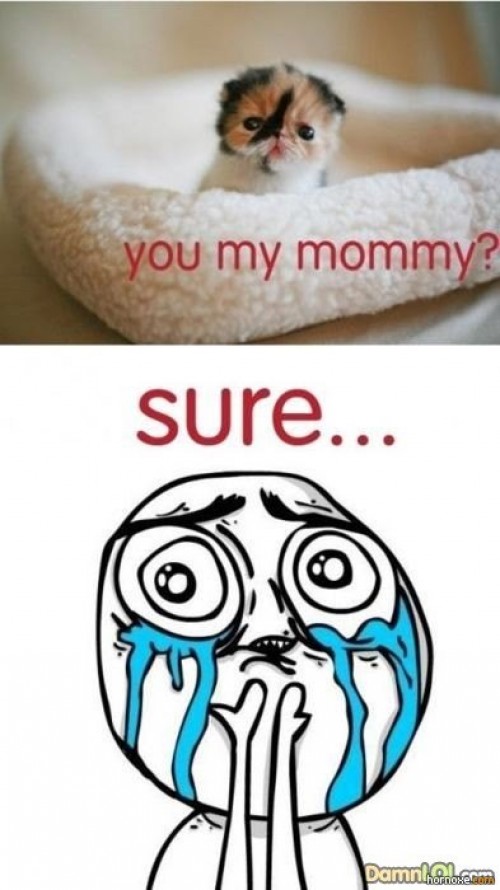 hornoxe.com_picdump224_035