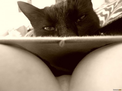 hornoxe.com_picdump224_059