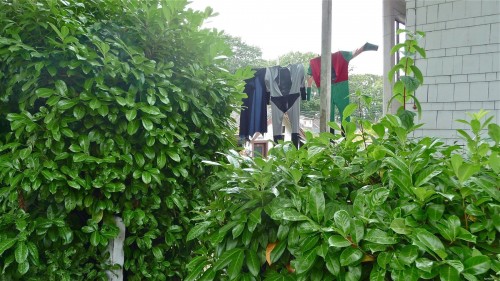 hornoxe.com_picdump224_066