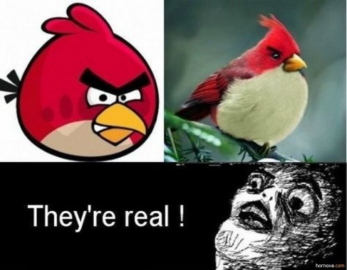 hornoxe.com_picdump224_072