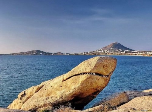 hornoxe.com_picdump224_079